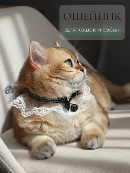 ARR Кружевной ошейник с бантиком для кошек и собак, белый