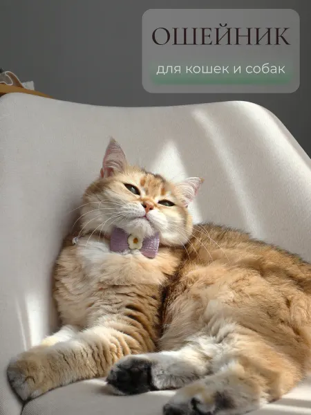 ARR Ошейник с объемным бантиком для кошек и собак, фиолетовый