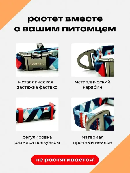 CollarsDepot Стильный нейлоновый ошейник для собак 25-35 см