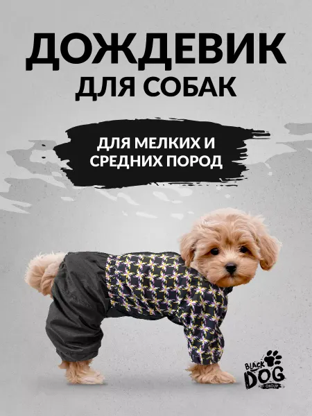 BLACK DOG GROUP Одежда для собак дождевик для мелких и средних пород унисекс