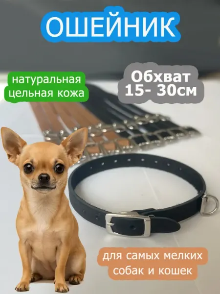 HAPPY WHISKELLE Ошейник для собак мелких пород