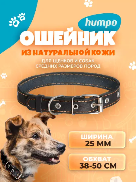 HUMPO Ошейник кожаный для собак средних пород