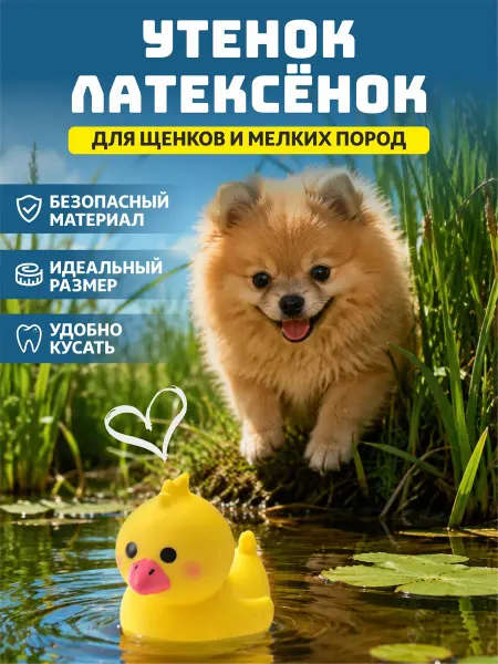 Japan Premium Pet Игрушка утёнок для собак