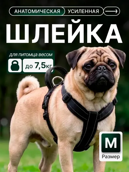KADY Шлейка для собак мелких пород без поводка