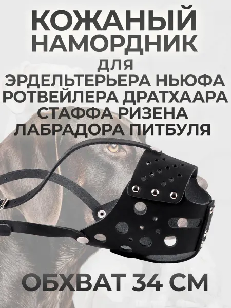 АРКОН Намордник из натуральной кожи для собак сплошной