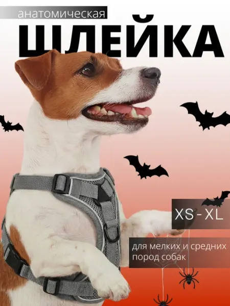 КокоРекс Шлейка для собак мелких и средних пород