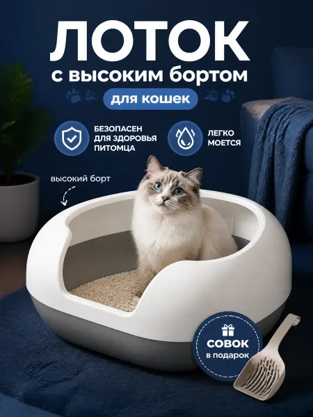 Лоток для кошек с совком подарок