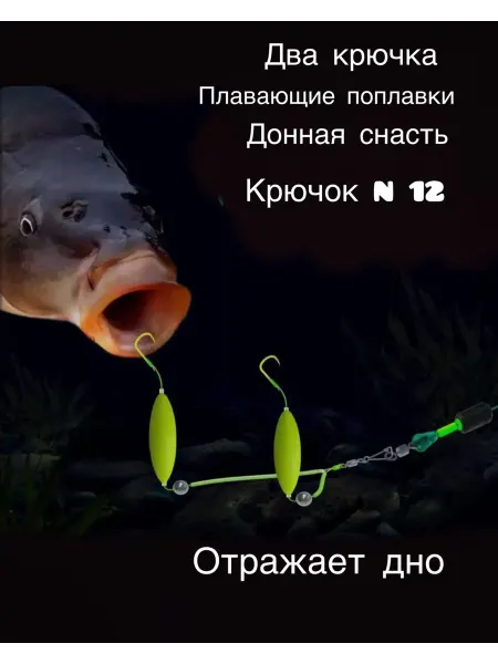 BigDan Донная снасть на карпа, два поплавка, крючок 12