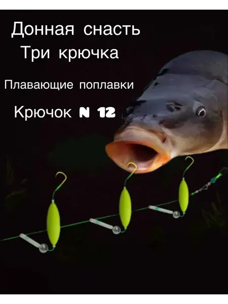 BigDan Донная снасть на карпа, три поплавка, крючок 12
