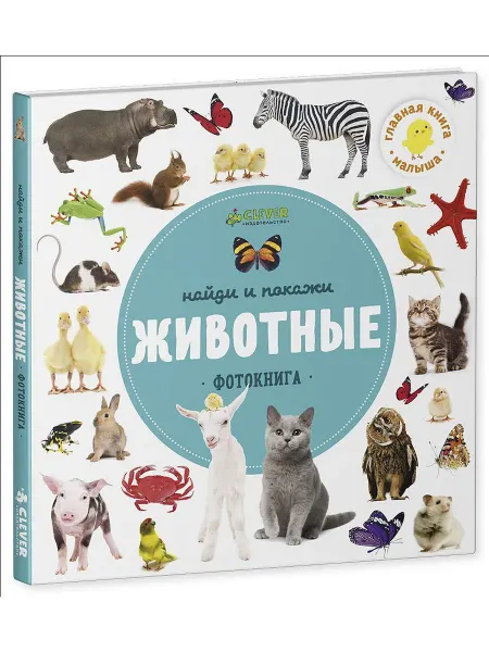 Клевер Медиа Групп Найди и покажи. Животные. Фотокнига