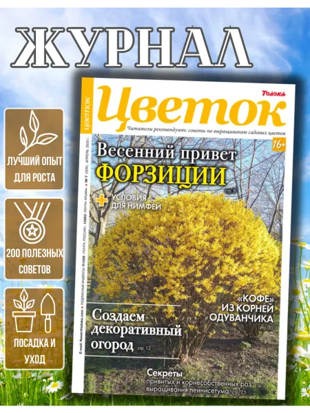 Цветок журнал о садовых цветах №7.Какие розы посадить на даче