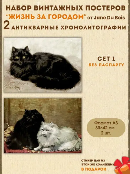 Постеры на стену Животные