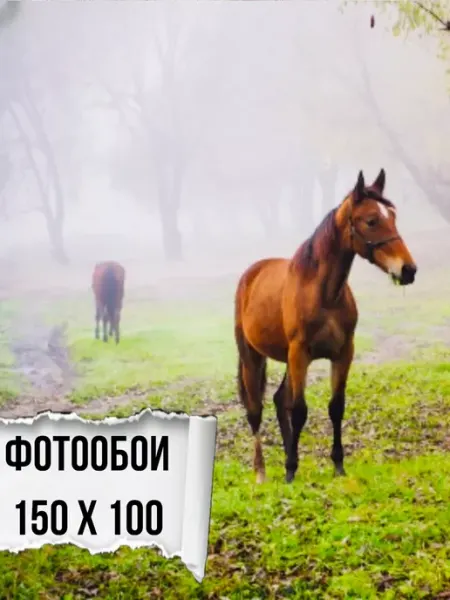 Мастерок маркет Фотообои природа лошадь