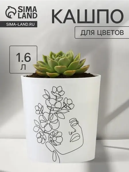 Элегантное пластиковое кашпо с уникальным дизайном