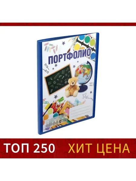 Пластиковая папка-портфолио для школьника