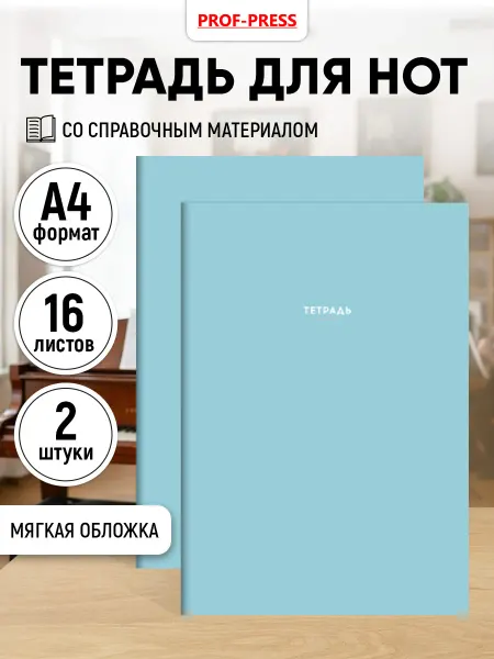Prof-Press Нотная тетрадь А4, 16 листов 2 штуки