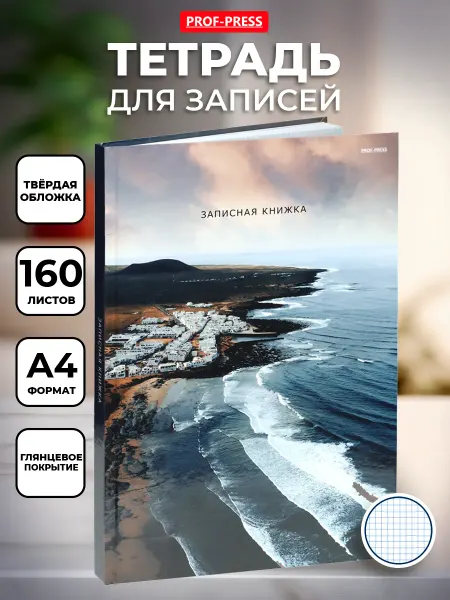 Prof-Press Тетрадь А4 твердая обложка 160 листов