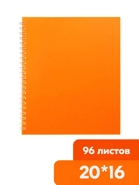 ПСВ Тетрадь 20*16см пластиковая обложка 96 листов