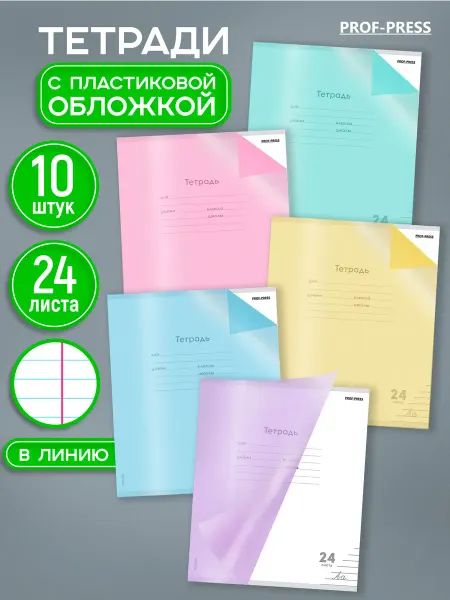 Prof-Press Тетрадь 24 листа в линейку 10 штук с пластиковой обложкой