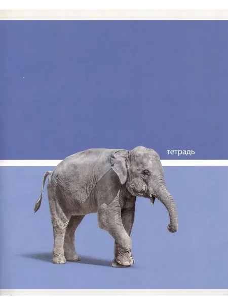 Эксмо Тетрадь в клетку "Wild Animals", 48 листов, в ассортименте