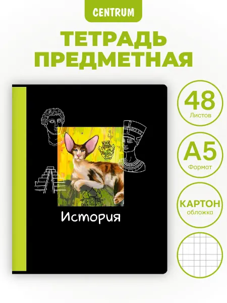 Centrum Тетрадь предметная История Серия Коты