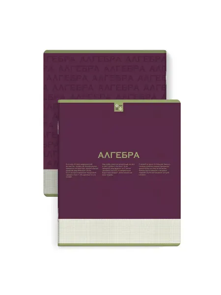 Феникс+ Тетрадь предметная Алгебра 48 л. А5+