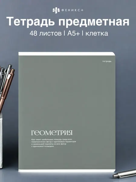 Феникс+ Тетрадь предметная в клетку геометрия 48 л А5+