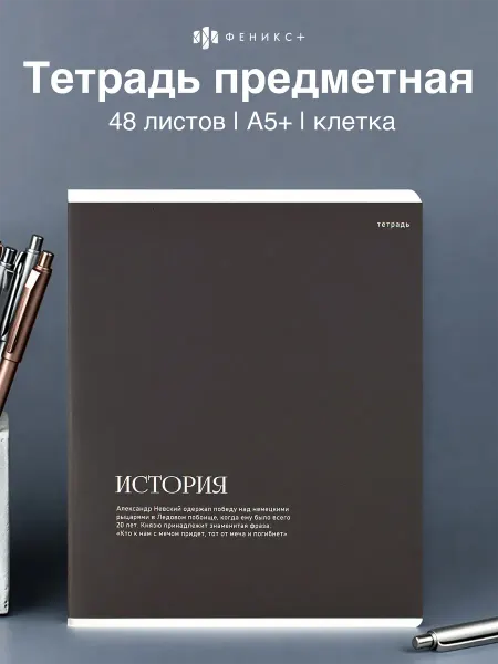 Феникс+ Тетрадь предметная в клетку история 48 л А5+
