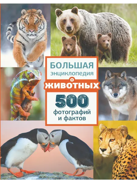 Книжный дом РФ Большая энциклопедия о животных. 500 фотографий и фактов
