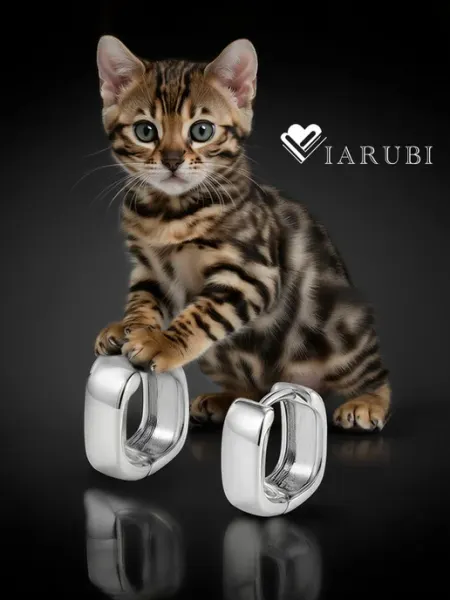 Viarubi Серьги геометрия висячие бижутерия