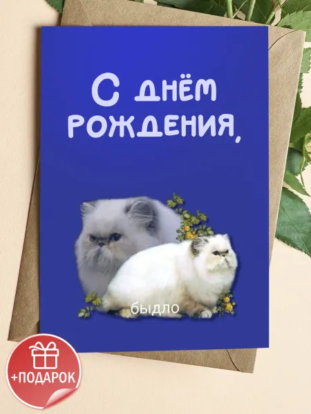Подарочные открытки Прикольная открытка с котом на день рождения