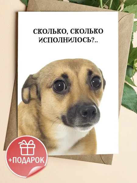 Подарочные открытки Открытка мемная с собакой и приколом на день рождения