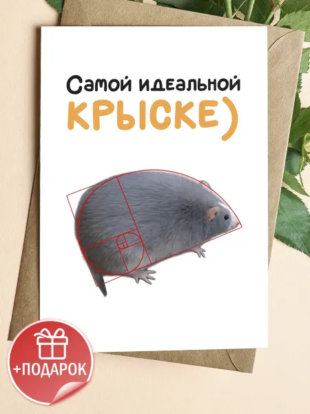Подарочные открытки Прикольная открытка с крысой и мемом на др другу