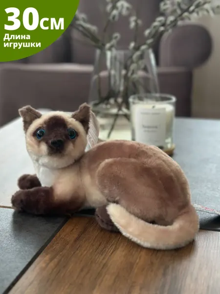 Окей Тойс Мягкая игрушка Котенок Сиамский, реалистичный