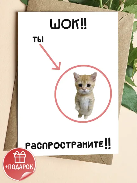 Подарочные открытки Прикольная открытка с милым котенком на праздник