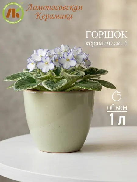 Горшок для цветов Ломоносовская Керамика "ColorLife", керамика, зеленый, 1 л