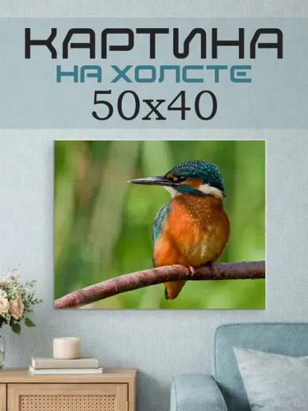 ПринтСтори Картина на стену 50х40 Птица