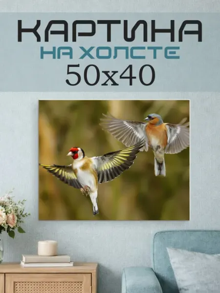 ПринтСтори Картина на стену 50х40 Птицы