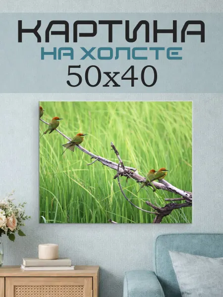 ПринтСтори Картина на стену 50х40 Птички