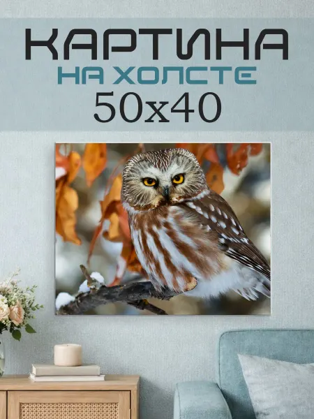 ПринтСтори Картина на стену 50х40 Сова