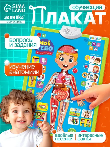 ZABIAKA Обучающий плакат Тело человека