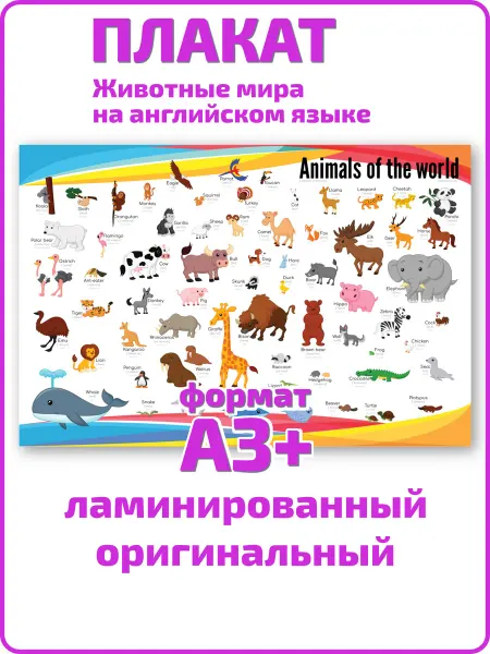 Квинг Животные мира на английском языке для детей плакат А3