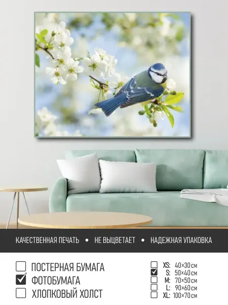 ПолиЦентр Постер на фотобумаге Птичка на цветущей ветке, 50х40 см