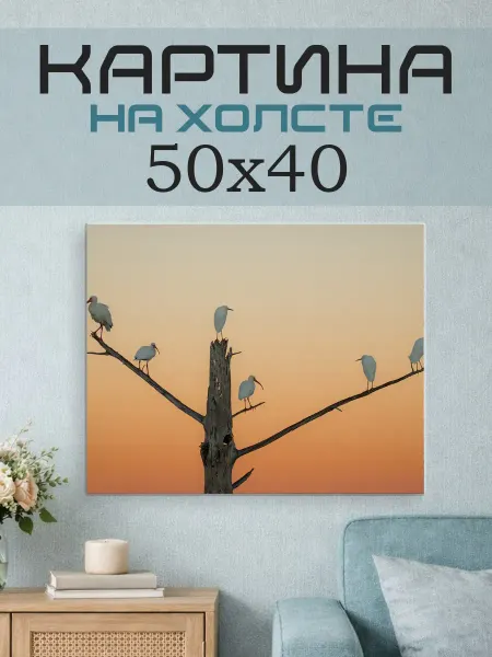 ПринтСтори Картина на стену 50х40 Птицы на закате