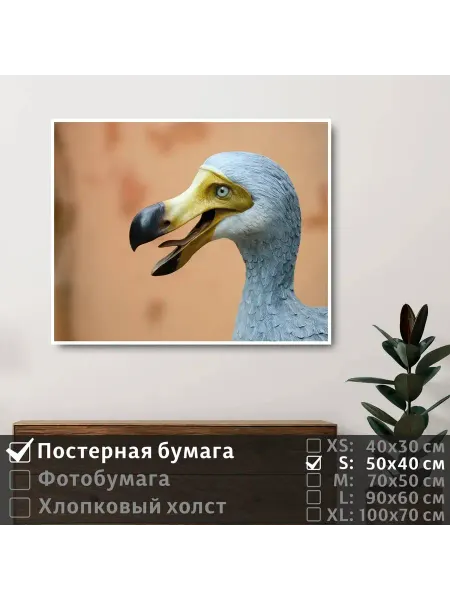 ПолиЦентр Постер на стену "Мифическая птица до до" 50х40 см