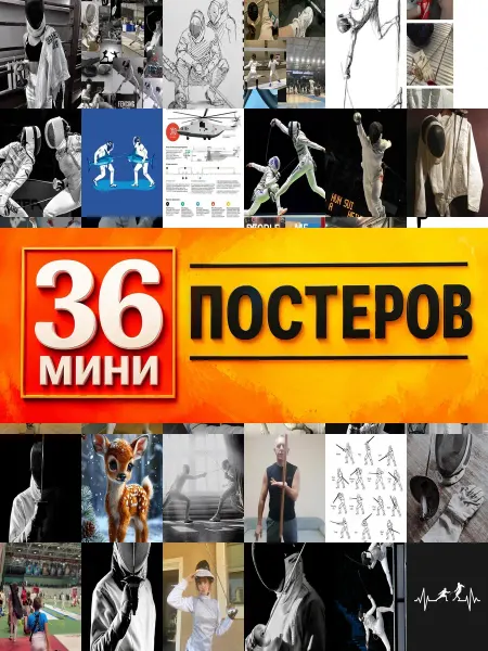 KONOV Минипостеры 36 шт фехтование