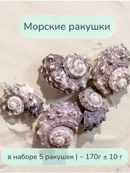 Ракушки для творчества и аквариума