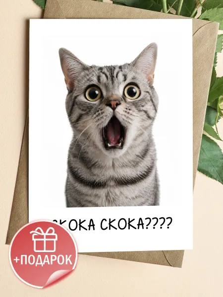 ТИТЛЪ Смешная открытка с котом для подарка
