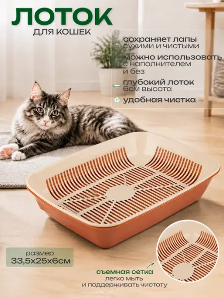 Рыжий кот Лоток для кошек