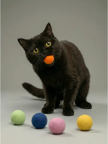 КотоВасия Мячики для кошек